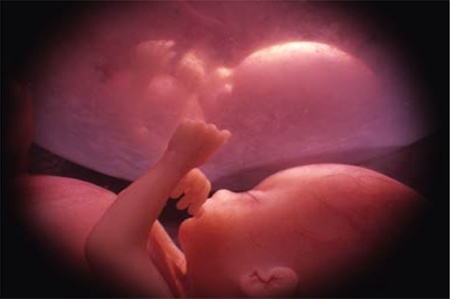 Chesterton: sueños 'Antes de nacer- Foto: Poemas para bebés en el vientre